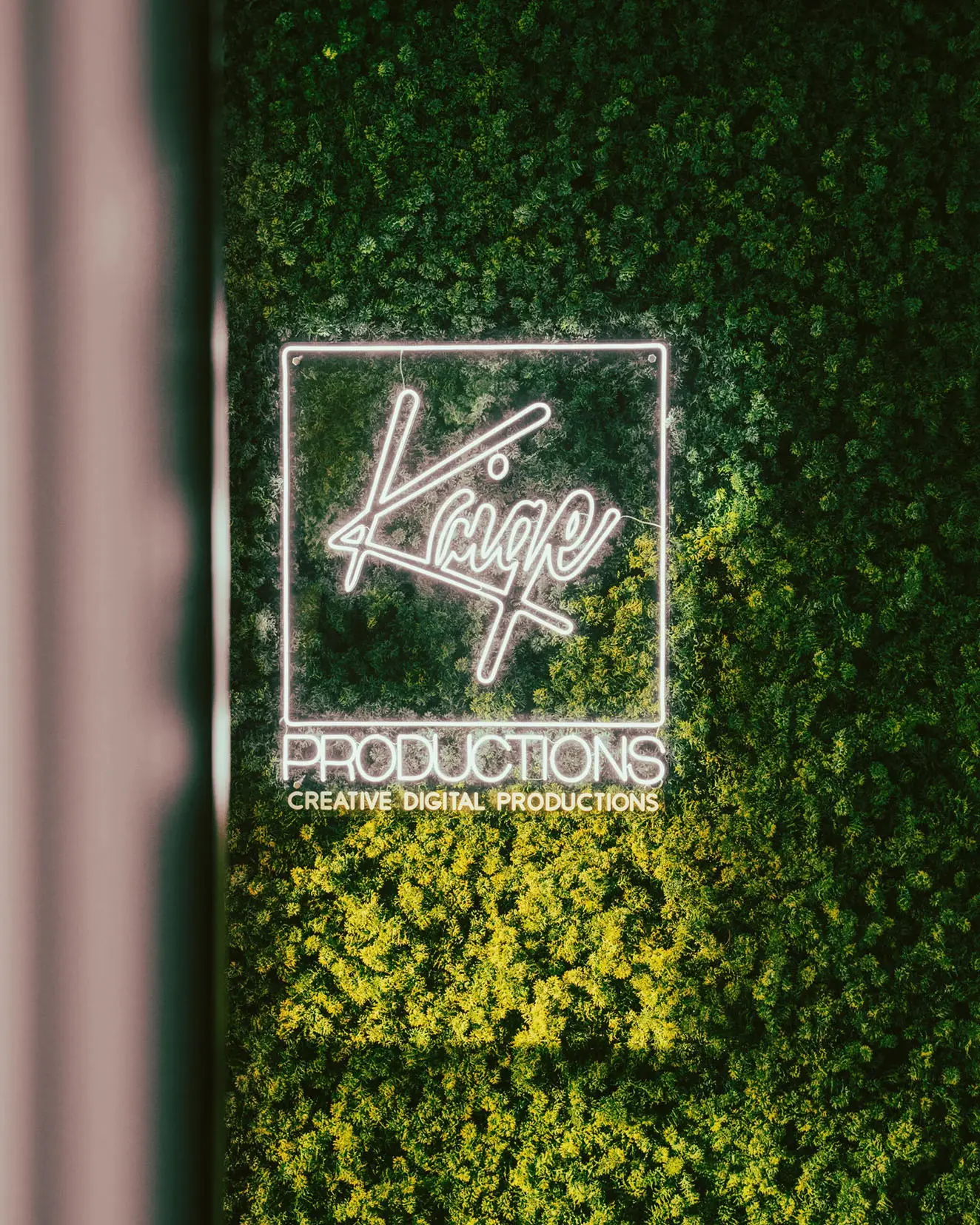 Professionele WordPress hosting Kaige Productions